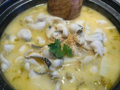 -九锅一堂酸菜鱼(学府凯德店)