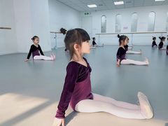 -西安小天鹅艺术团(金花路校区)