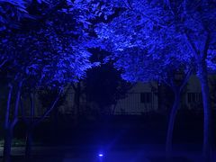 -渔家颂歌渔家味道(青石路店)