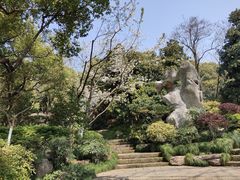 -杭州半山国家森林公园