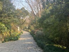 -法云安缦酒店