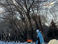 -长春市南湖公园