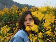 -桑洲油菜花景区