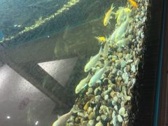 -极乐汇汗蒸会馆(杭州店)