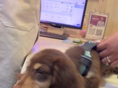 -宠爱国际动物医院·消化内科·心肾内科·ISFM猫友好(望京店)