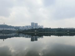 -水濂山水库景点停车场