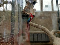 -大连森林动物园