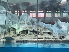 -帝企鹅自助餐厅•儿童岛•真企鹅(长隆企鹅酒店)