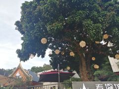 -泰堤坊(淡水体育馆店)