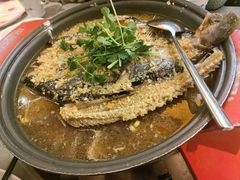 -探炉·香辣豆花烤鱼(笋岗宝能环球汇店)