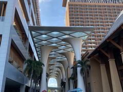 -三亚湾红树林度假世界(木棉酒店)