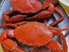 -南沙十九涌渔人码头-南门