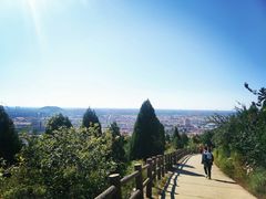 -府君山公园