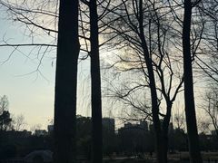 -洋湖国家湿地公园