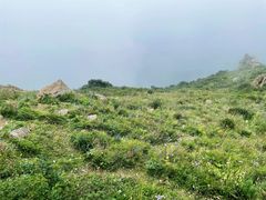 -白草畔自然风景区