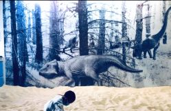 -恐龙探索乐园(磁器口店)