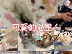 -万达广场(北京槐房店)