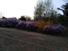 -渤海大学(松山校区)