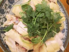 -九斤黄三黄鸡专卖店