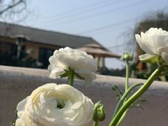 -悦哉·派对·草坪婚礼·围炉煮茶(三圣乡店)