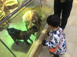 -未来动物城主题公园(正弘城店)
