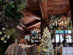-一棵树·意大利西餐厅One Tree(新城店)
