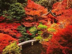 -醍醐寺