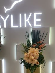 -深圳美莱医疗美容医院