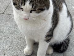 -青岛崂山太清宫