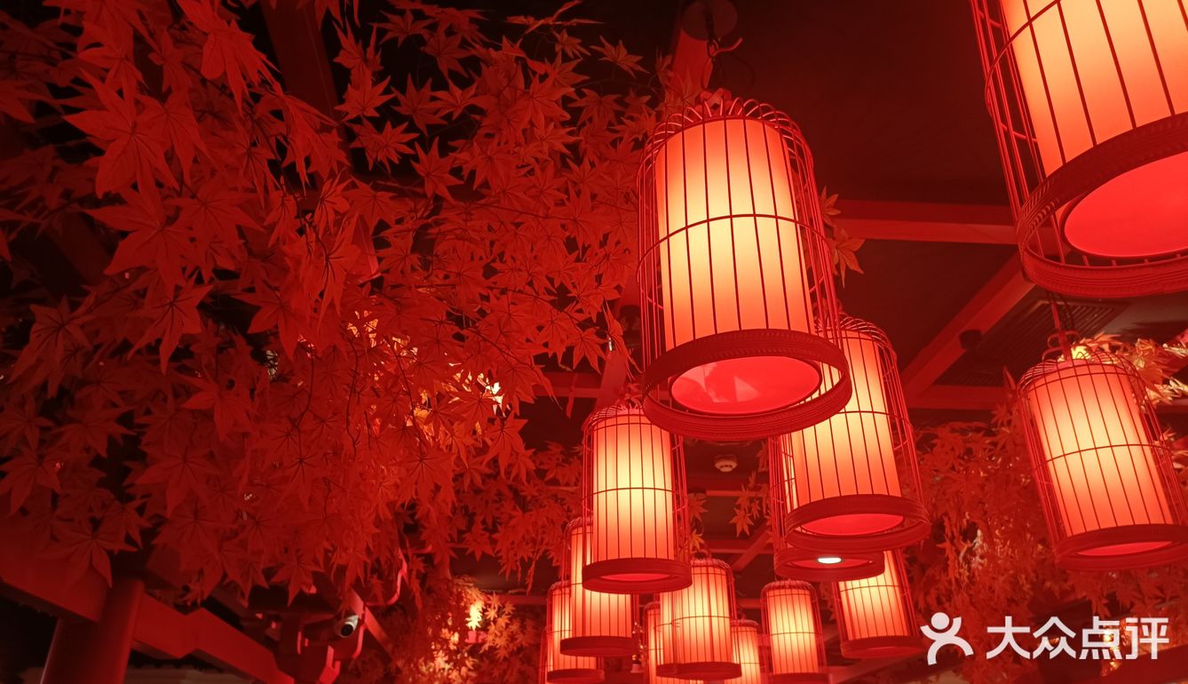 火社我又来了!