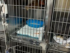 -宠颐生宠物医院·骨外科·犬猫全科诊疗中心(池州店)