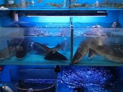 -韩妹鱼庄·泸定老字号(泸定店)