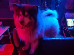 -来吧0519民谣酒吧
