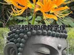 -杭州植物园