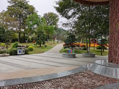 -铁山坪森林公园