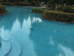 -宁波九龙湖开元度假村