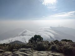 -梧桐山风景名胜区