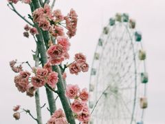 -观澜湖生态运动公社