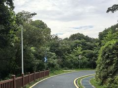 -黄埔油麻山森林公园