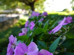 -胡里山炮台