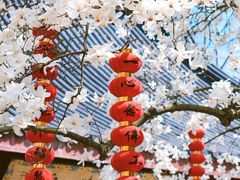 -杭州上天竺法喜讲寺