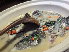 -老傅家湘潭水煮活鱼店(众一国际店)