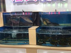 -屯老二农家铁锅炖·行业领军者(梅江店)