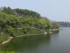 -广东花都湖国家湿地公园