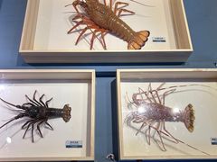 -浙江自然博物院(杭州馆)