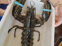 -大杰海鲜锅(基隆路店)