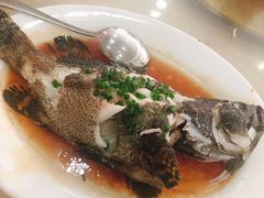 -双月饭店·20年老字号(新村店)