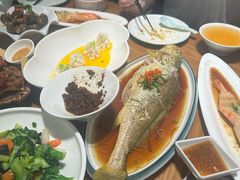 -波螺油子·海肠捞饭·青岛菜(银座店)
