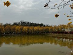 -佛山市三水温泉度假村