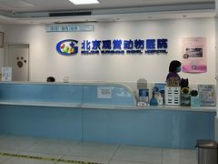 -北京观赏动物医院·24小时大型综合·猫专科·异宠专科